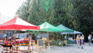 Davis Bay Farmer's Market @ Davis Bay-Wilson Creek Community Hall | Sechelt | British Columbia | Canada