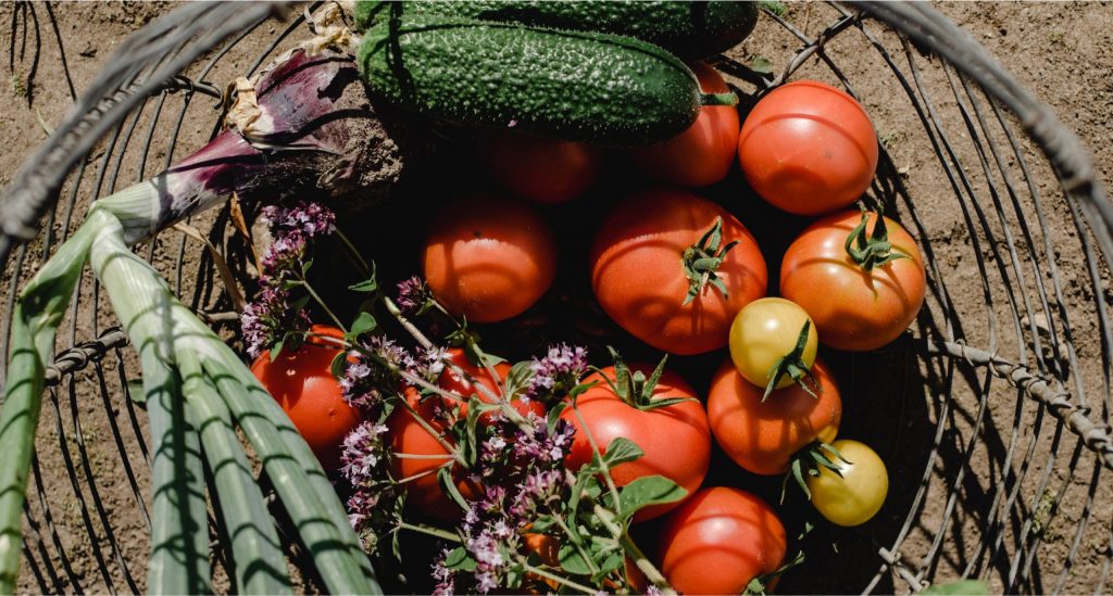 basket of vegetables