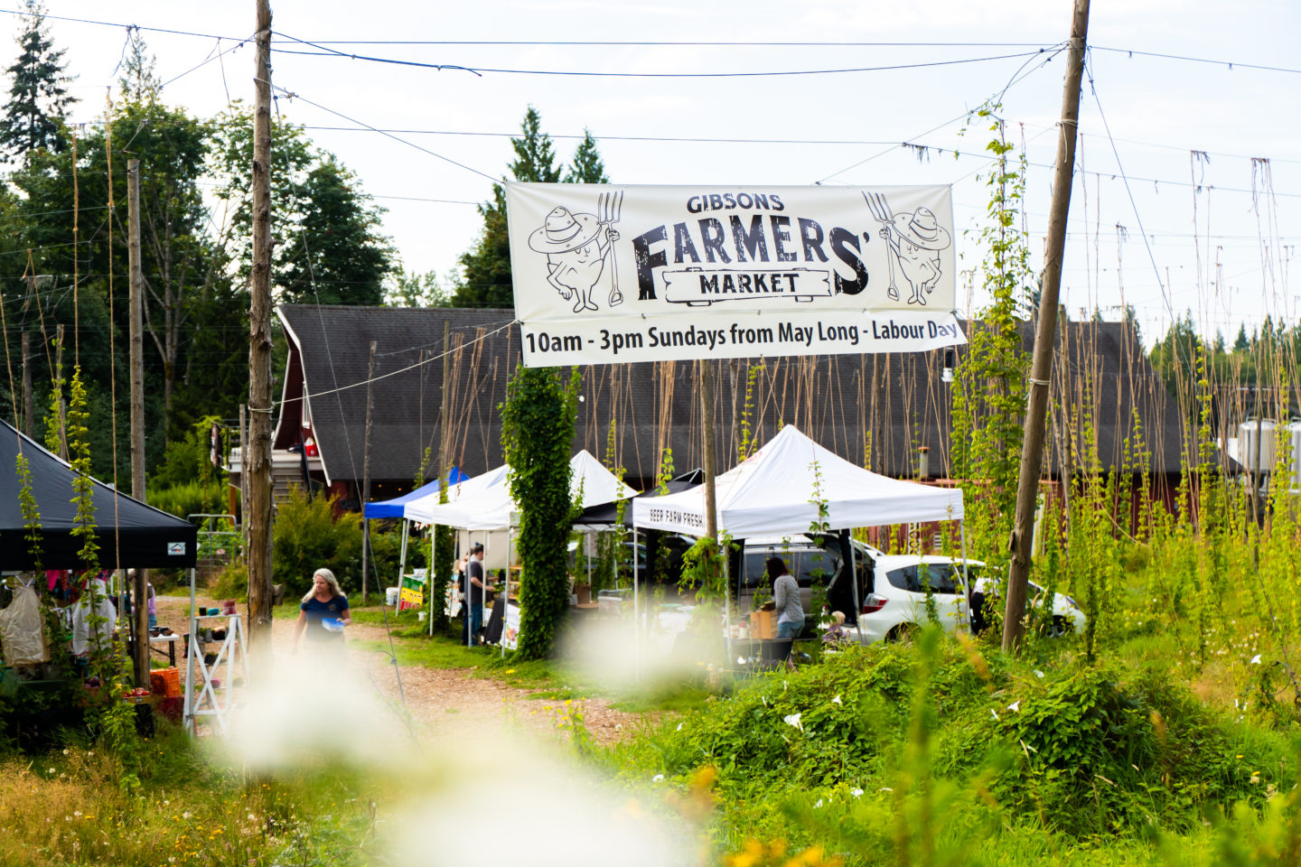 Farmers market at a farm with hops growing