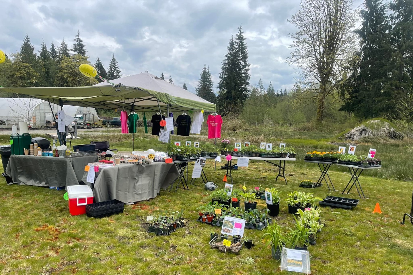 market-langdale Farmers market on a lawn