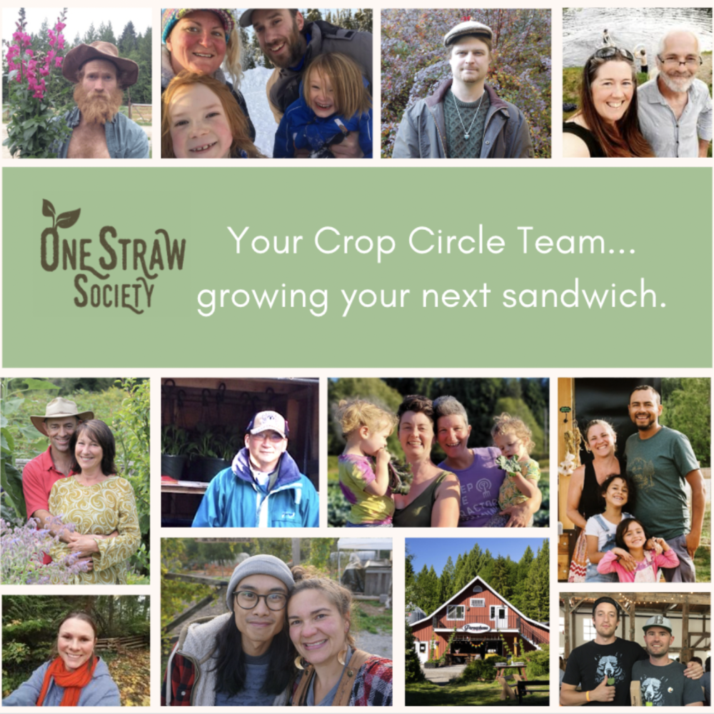 Local Foodbox Program 2022 Food Prices Global Inflation One Straw local-foodbox-program-2022-food-prices-global-inflation-one-straw