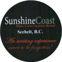 blank-workspace-nothing-saved-3