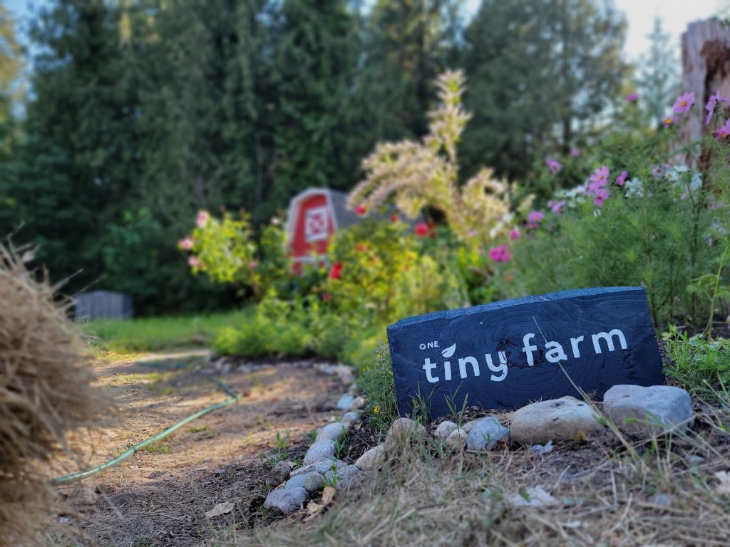 Position Statement: Recognition, Branding & Logos at One Tiny Farm
