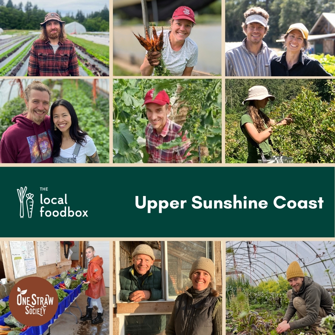 food-box-announcement-2