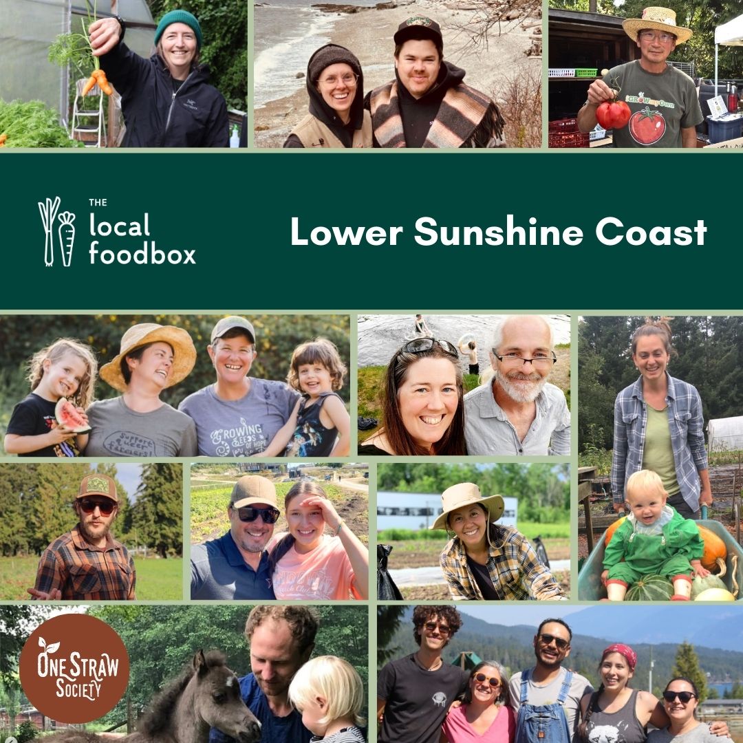 food-box-announcement-7