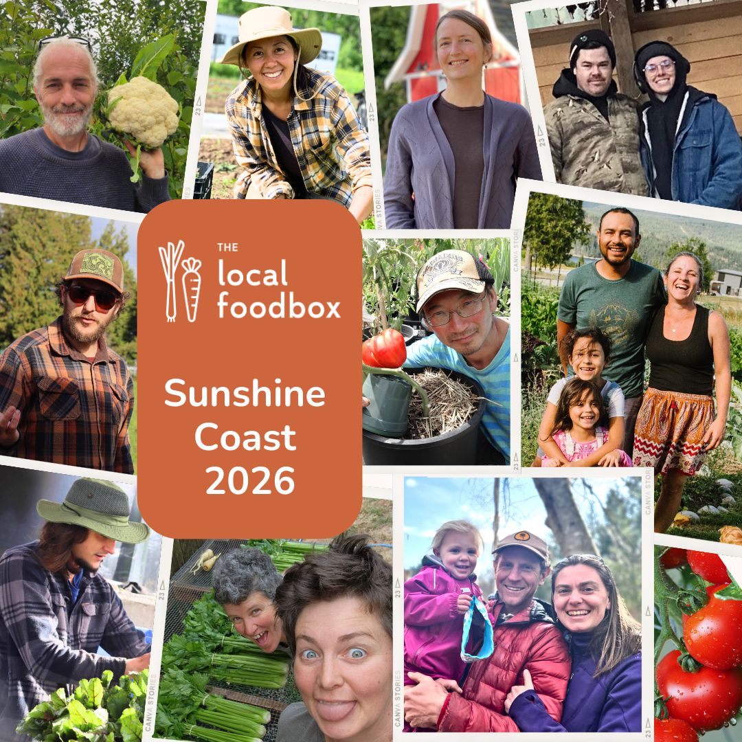 foodbox-graphics-social-posts-1