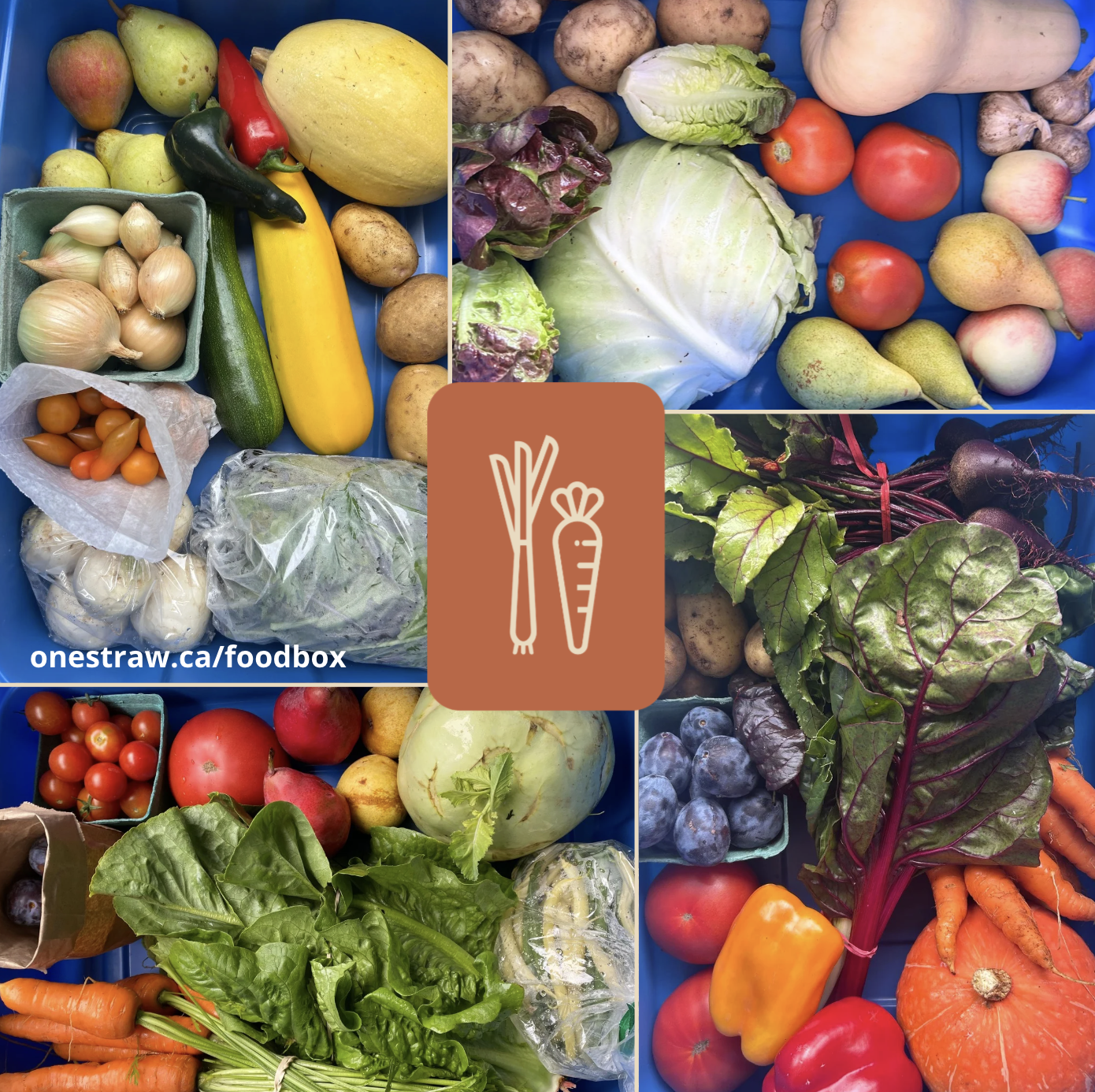 screenshot-2026-02-17-at-11.19.25am