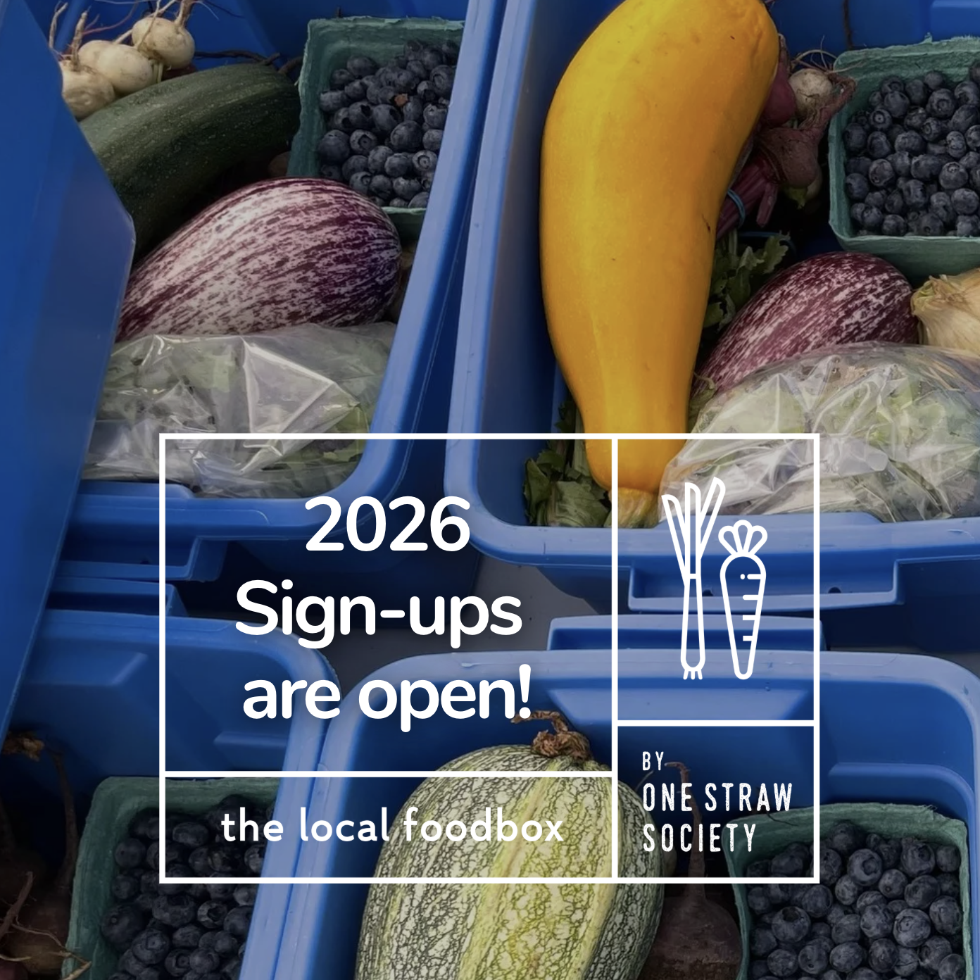 screenshot-2026-02-17-at-11.20.13am