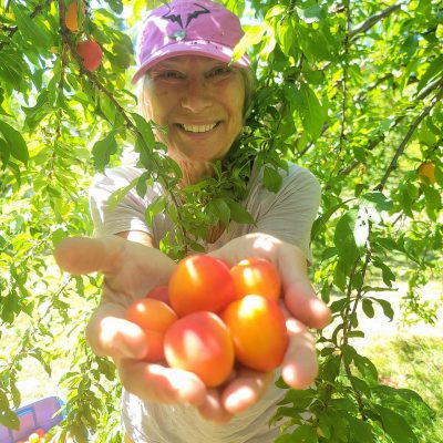 20250728_124052-2 20250728_124052-2