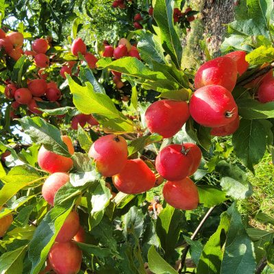 20250827_143204 20250827_143204