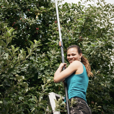 screenshot-2026-03-17-at-1.11.08am screenshot-2026-03-17-at-1.11.08am