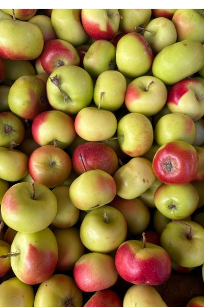 apples